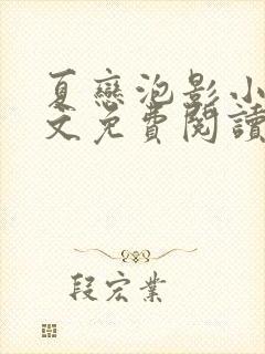 夏恋泡影小说全文免费阅读最新章节