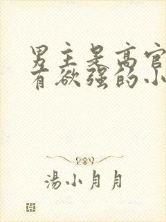 男主是高官且占有欲强的小说