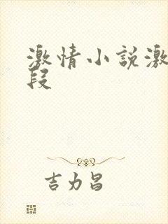 激情小说激情片段