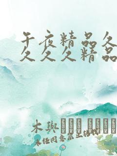 午夜精品久久久久久久精品