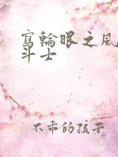 写轮眼之风流圣斗士