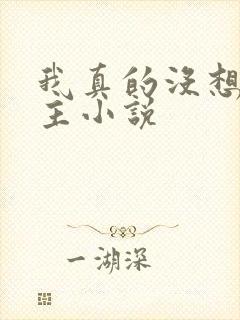 我真的没想抢男主小说