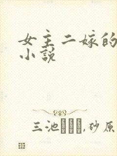 女主二嫁的古言小说