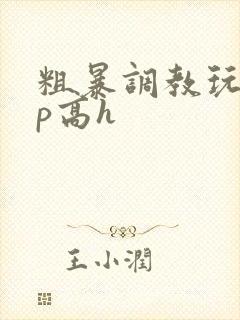 粗暴调教玩弄np高h