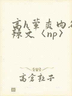 高h荤爽肉欲文辣文〈np〉