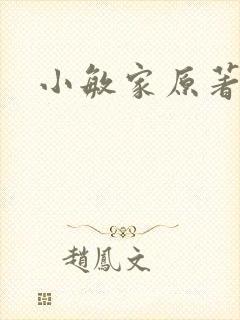 小敏家原著小说