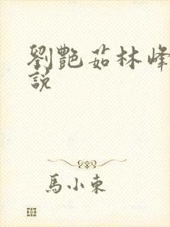 刘艳茹林峰的小说