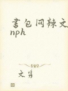 书包网辣文古代nph