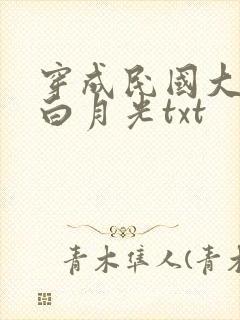 穿成民国大佬的白月光txt