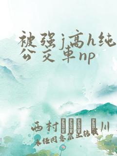 被强j高h纯肉公交车np