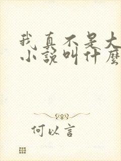 我真不是大反派小说叫什么