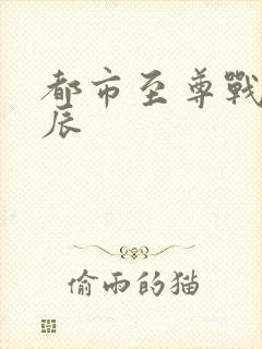 都市至尊战神苏辰