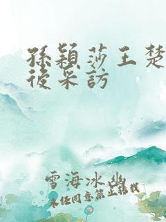 孙颖莎王楚钦赛后采访