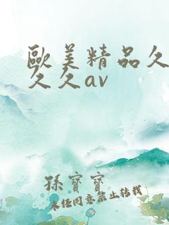 欧美精品久久久久久av