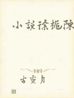 小说徐栀陈路周