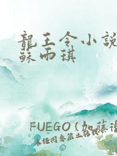 龙王令小说陈平苏雨琪