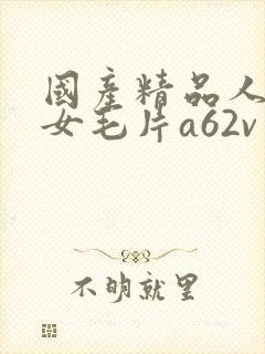 国产精品人妻熟女毛片a62v