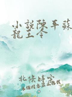 小说陈平苏雨琪龙王令