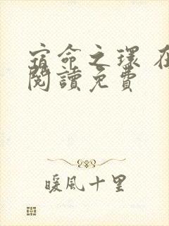 宿命之环 在线阅读免费