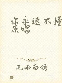 你永远不懂我的原唱