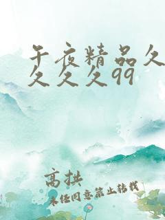 午夜精品久久久久久久99