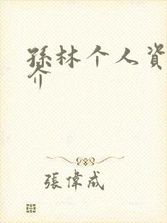 孙林个人资料简介