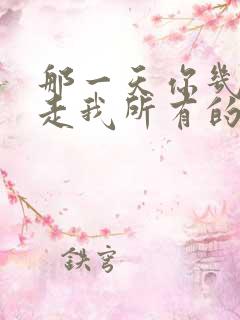 那一天你几乎带走我所有的从前歌词