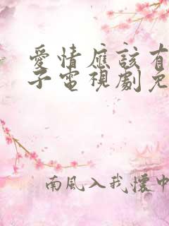 爱情应该有的样子电视剧免费观看全集