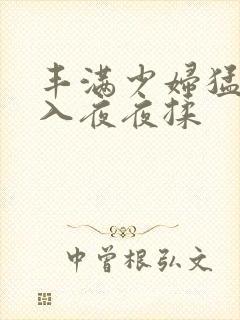 丰满少妇猛烈进入夜夜揉