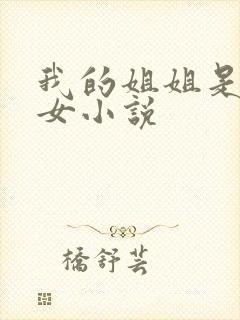 我的姐姐是大美女小说