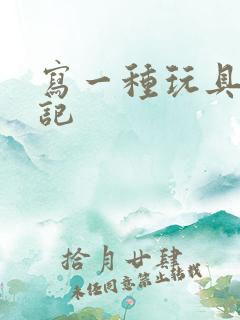 写一种玩具的日记