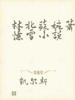 林北苏婉萧晴韩忆雪小说