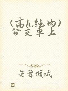 (高h,纯肉)公交车上