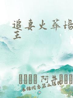 追妻火葬场双女主