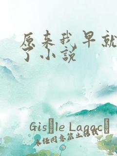 原来我早就无敌了小说