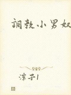 调教小男奴小说