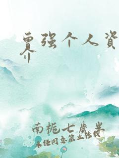 曹强个人资料简介