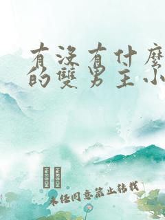 有没有什么好看的双男主小说