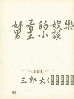 好看的娱乐圈双男主小说