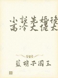 小说先婚后爱:高冷大佬太粘人阅读