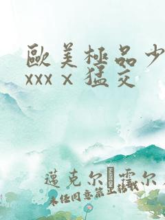 欧美极品少妇xxxxⅹ猛交