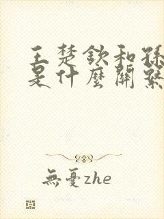 王楚钦和孙颖莎是什么关系