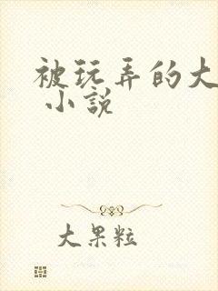 被玩弄的大小姐 小说