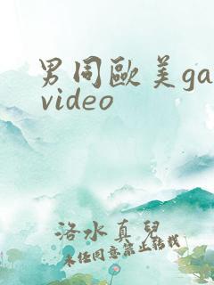 男同欧美gay video