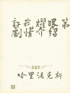 许我耀眼第七集剧情介绍