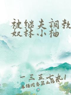 被继夫调教成肉奴林小柚