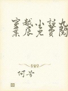 穿越小说九皇子叶辰免费阅读