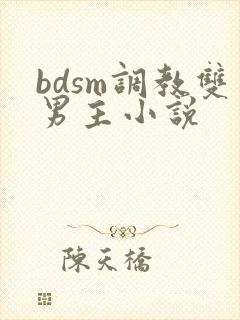 bdsm调教双男主小说