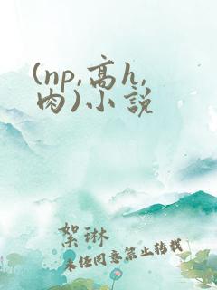 (np,高h,肉)小说