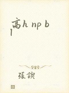 高h np bl